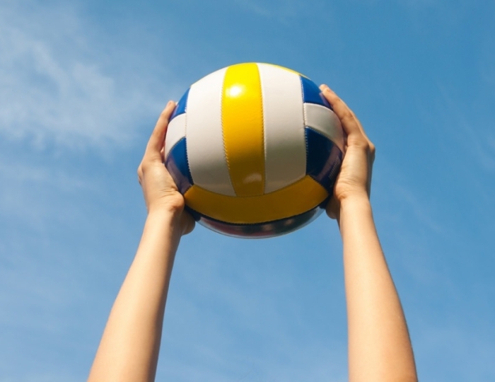 Волейбольная площадка - Парк-отель «Анива»